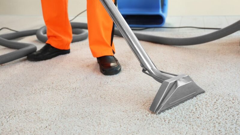 How to Properly Clean Your Carpet
